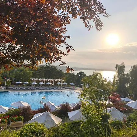 Lavender Созополь