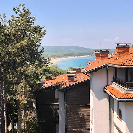 Lavender * Sozopol